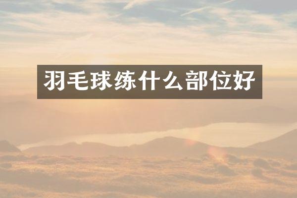 羽毛球练什么部位好