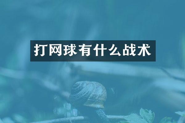 打网球有什么战术