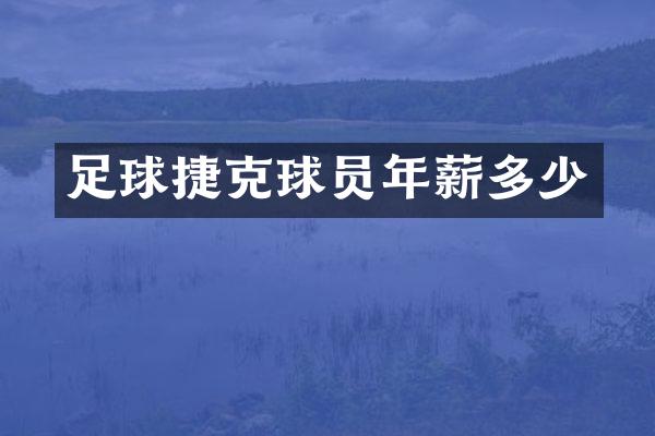 足球捷克球员年薪多少