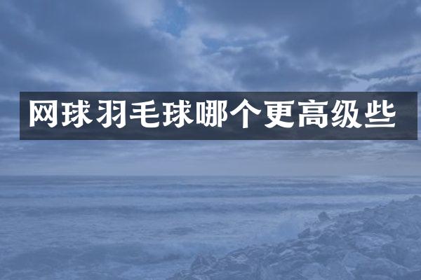 网球羽毛球哪个更高级些