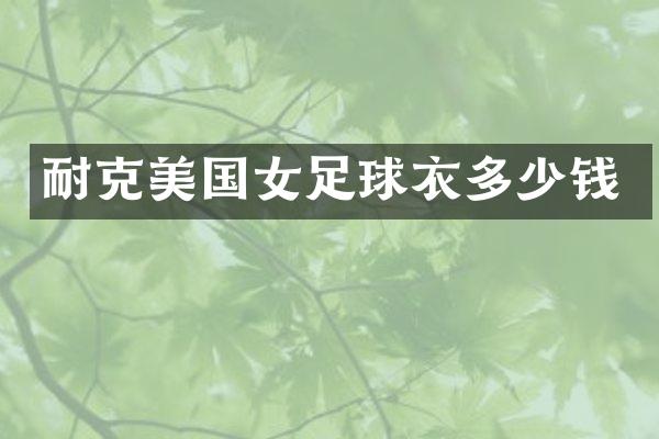 耐克美国女足球衣多少钱