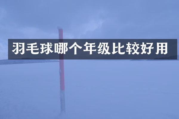 羽毛球哪个年级比较好用
