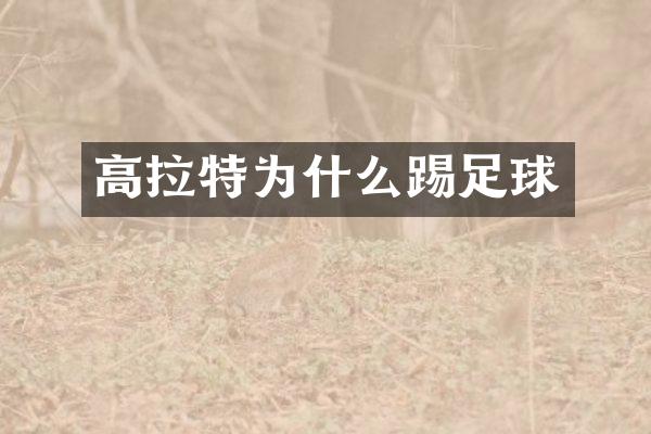 高拉特为什么踢足球