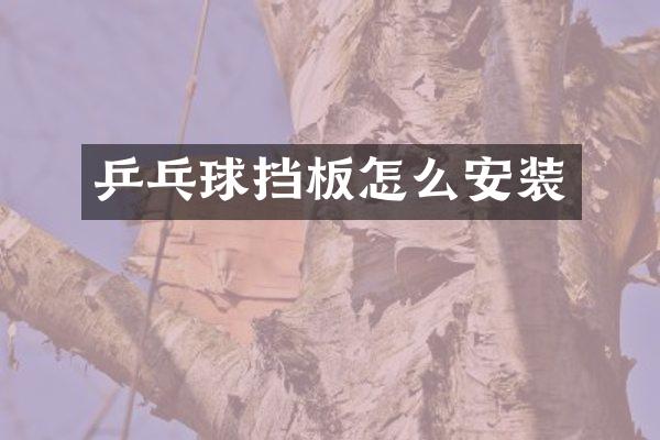 乒乓球挡板怎么安装