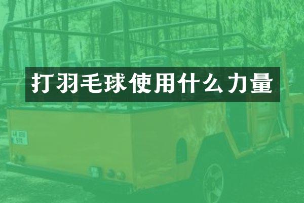 打羽毛球使用什么力量
