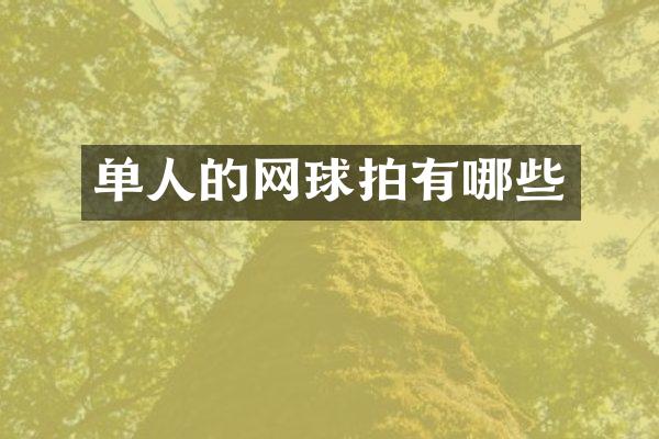单人的网球拍有哪些
