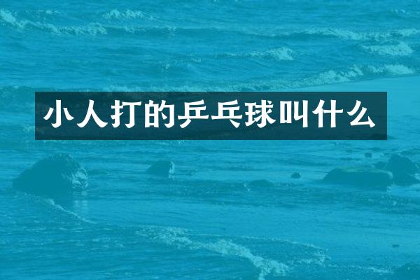 小人打的乒乓球叫什么