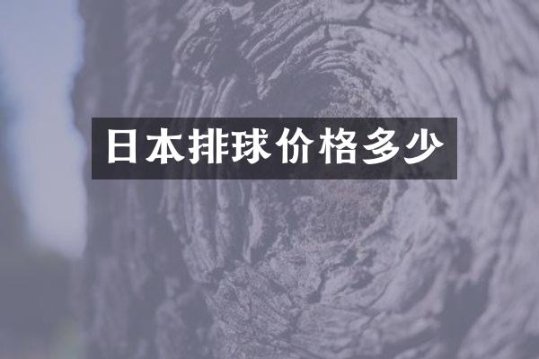 日本排球价格多少