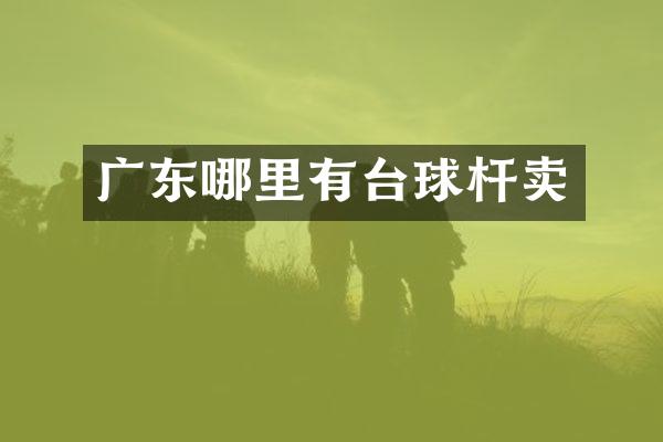 广东哪里有台球杆卖