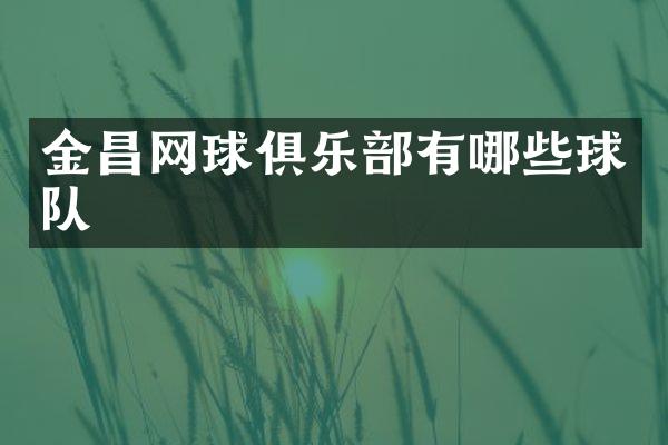 金昌网球俱乐部有哪些球队