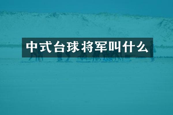 中式台球将军叫什么