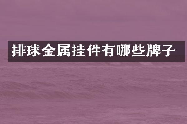 排球金属挂件有哪些牌子