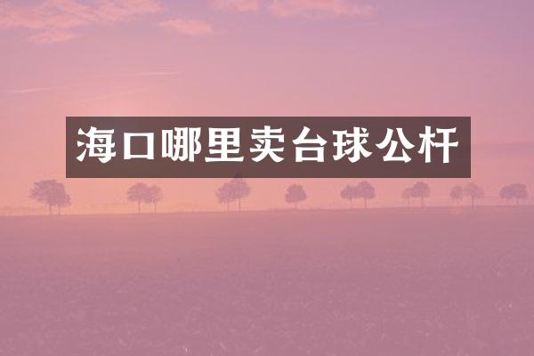 海口哪里卖台球公杆