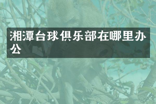 湘潭台球俱乐部在哪里办公