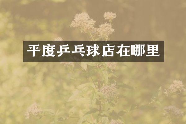 平度乒乓球店在哪里