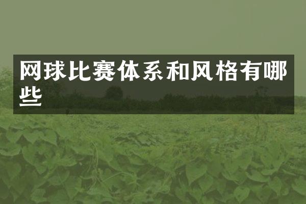 网球比赛体系和风格有哪些
