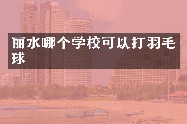 丽水哪个学校可以打羽毛球