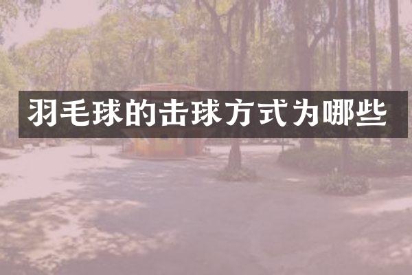 羽毛球的击球方式为哪些