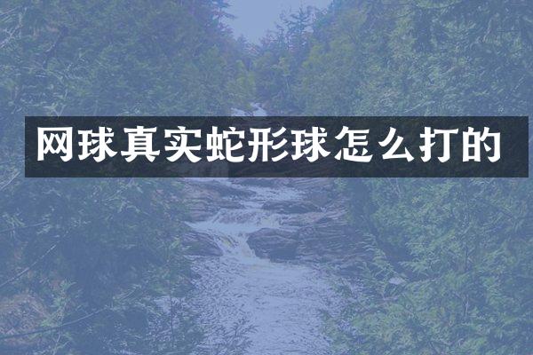 网球真实蛇形球怎么打的