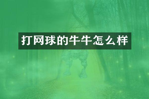 打网球的牛牛怎么样