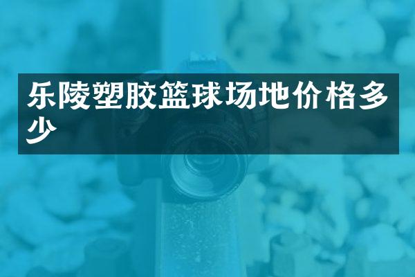 乐陵塑胶篮球场地价格多少