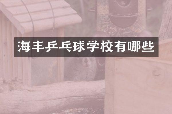 海丰乒乓球学校有哪些