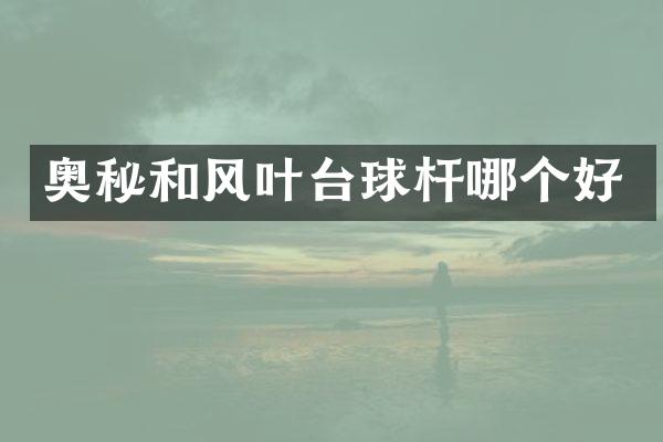 奥秘和风叶台球杆哪个好