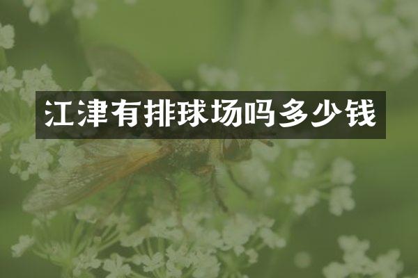 江津有排球场吗多少钱