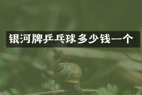 银河牌乒乓球多少钱一个
