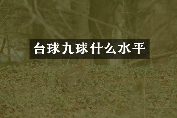 台球九球什么水平