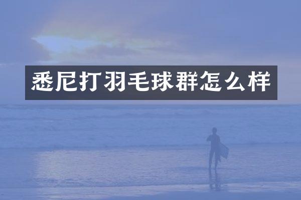 悉尼打羽毛球群怎么样
