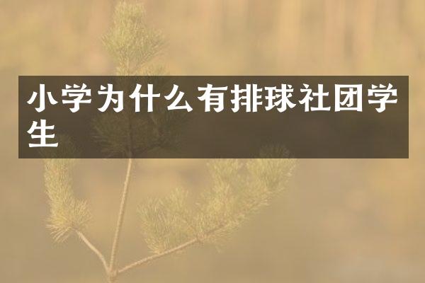 小学为什么有排球社团学生