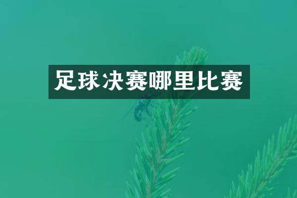 足球决赛哪里比赛