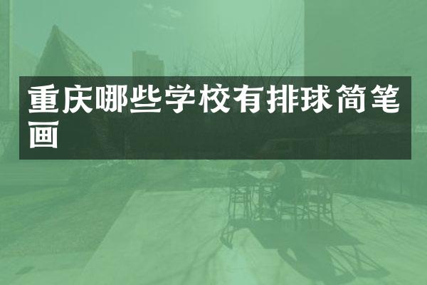 重庆哪些学校有排球简笔画