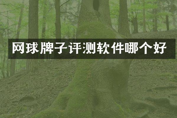 网球牌子评测软件哪个好