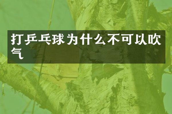 打乒乓球为什么不可以吹气