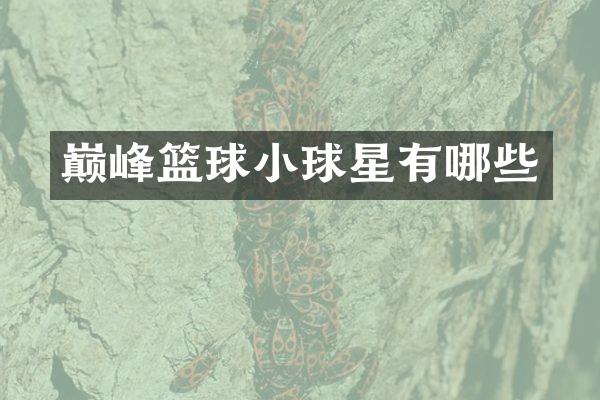 巅峰篮球小球星有哪些