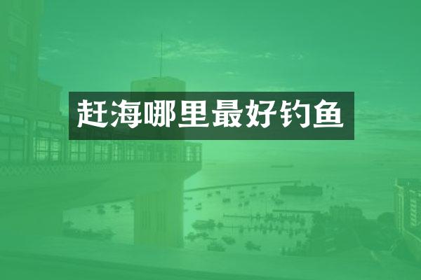 赶海哪里最好钓鱼