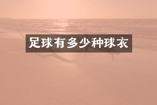 足球有多少种球衣