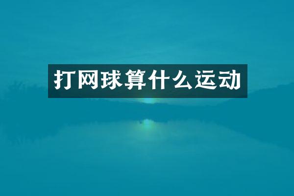 打网球算什么运动