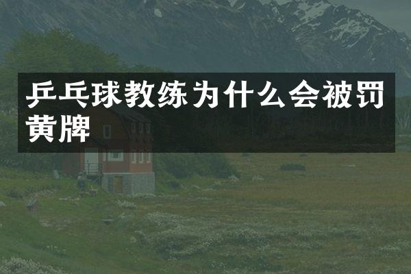 乒乓球教练为什么会被罚黄牌