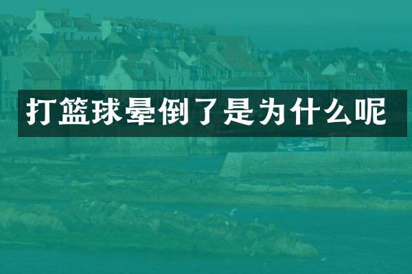 打篮球晕倒了是为什么呢