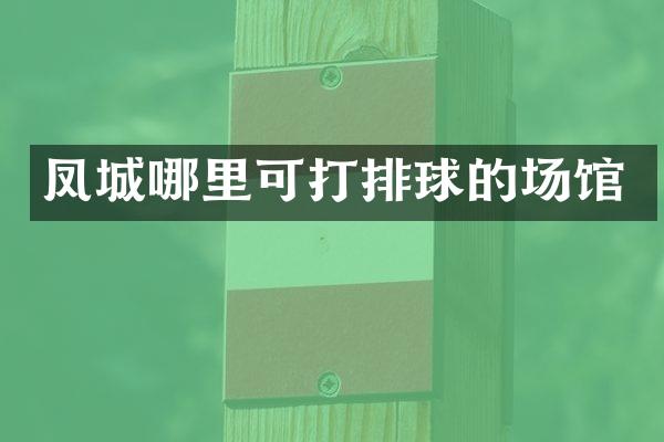 凤城哪里可打排球的场馆