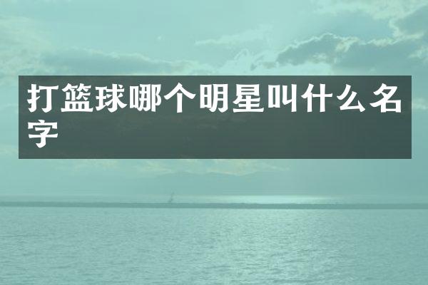 打篮球哪个明星叫什么名字
