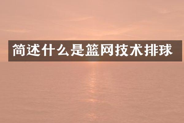 简述什么是篮网技术排球