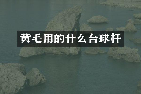 黄毛用的什么台球杆