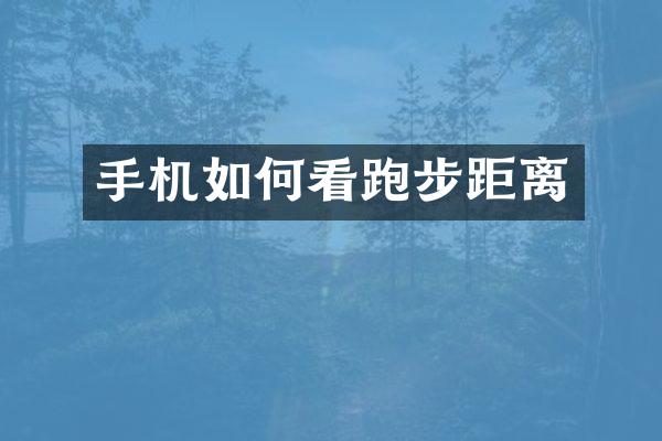 手机如何看跑步距离