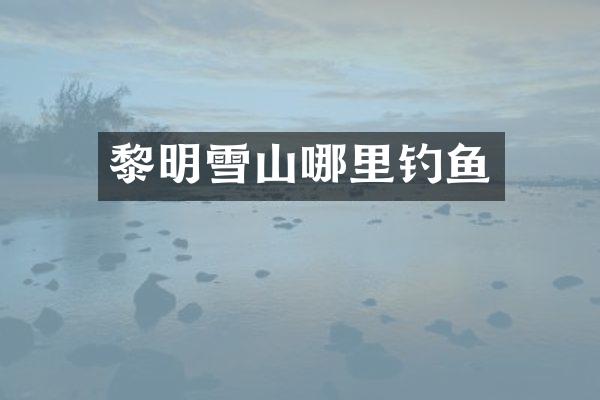 黎明雪山哪里钓鱼