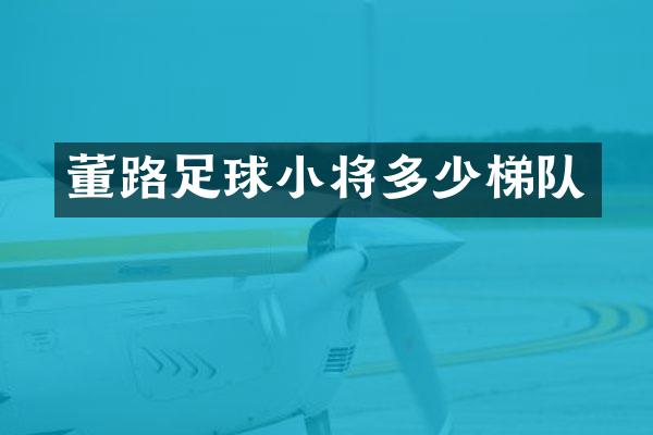 董路足球小将多少梯队