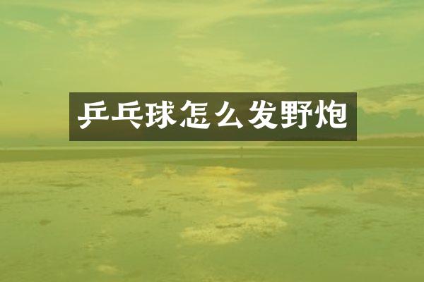 乒乓球怎么发野炮